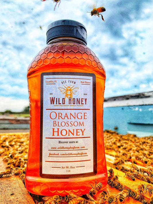 Orange Blossom Honey