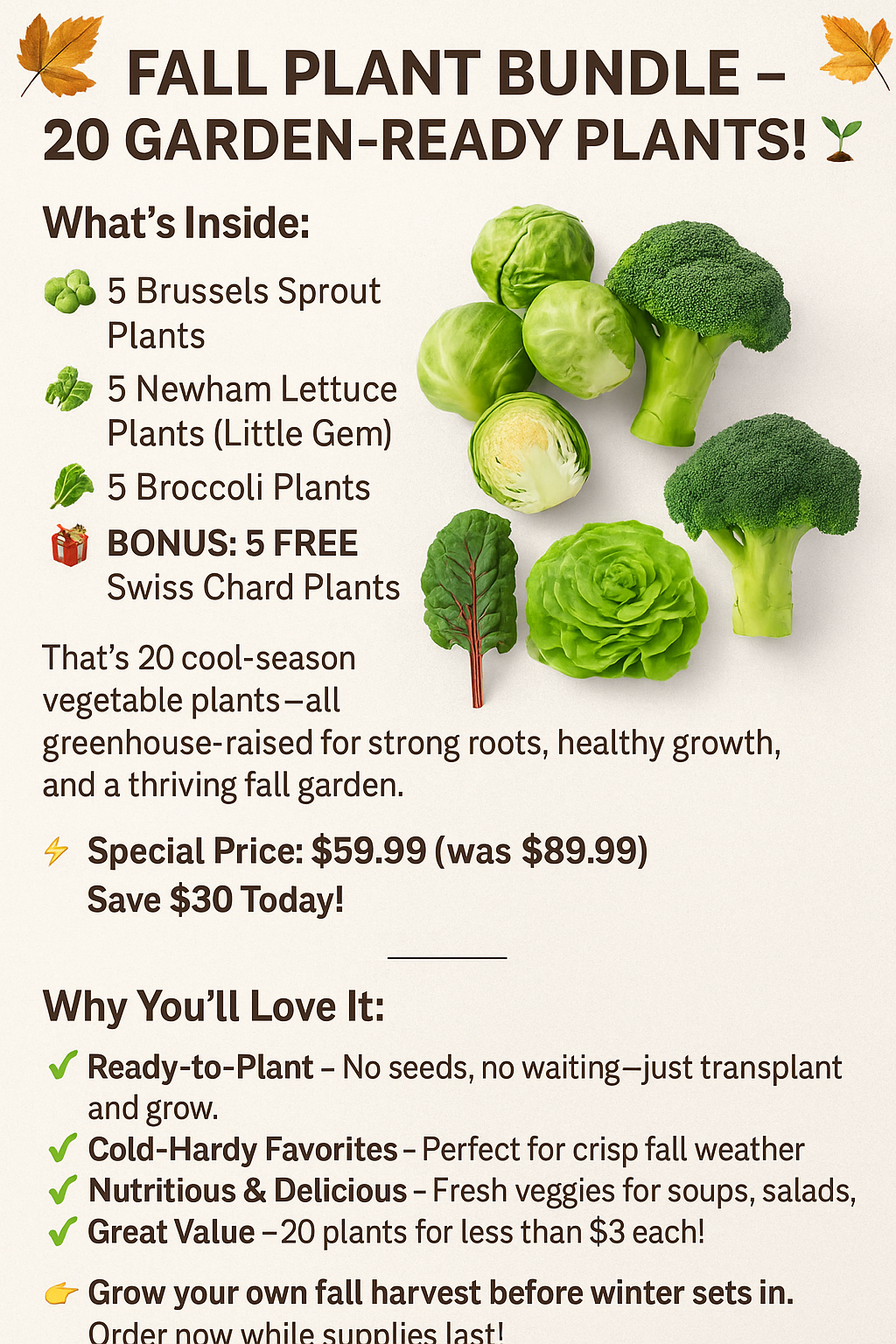 Fall Plant Bundle – 20 Garden-Ready Plants! Ready to pick up 2-3 weeks after order.