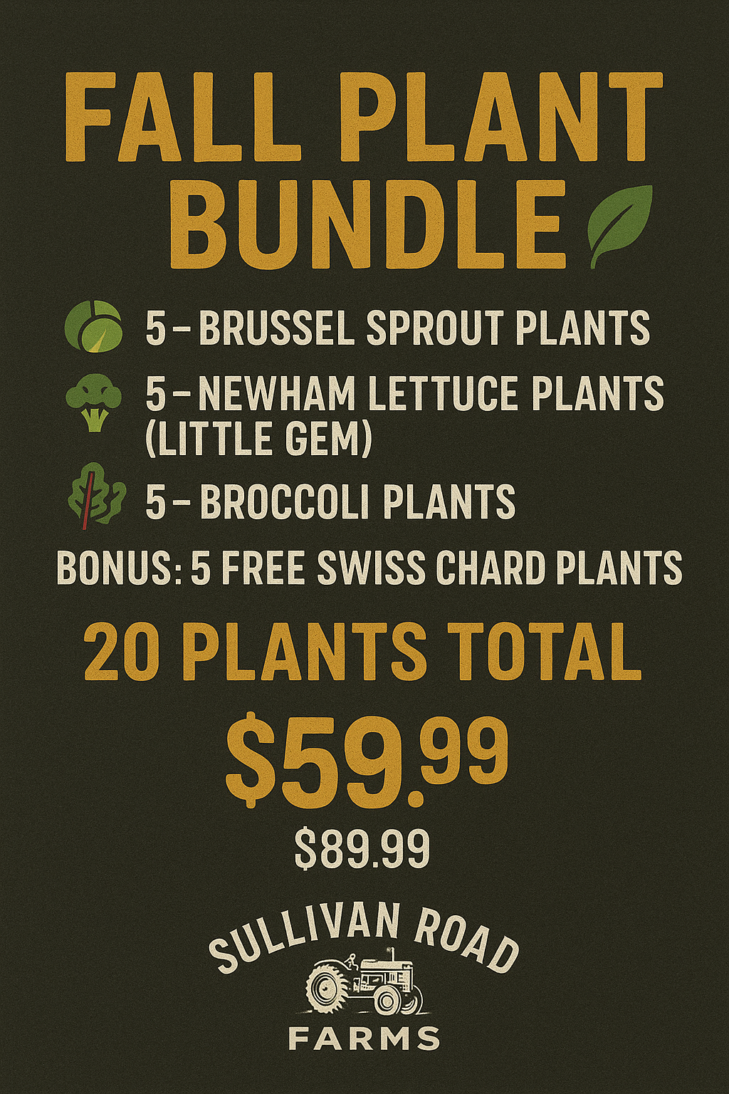 Community Garden plot 3ft x 4ft. 12 months subscription.