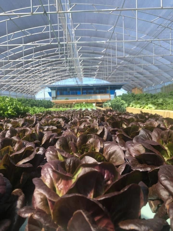 CSA Full Share 12 Week Membership Program