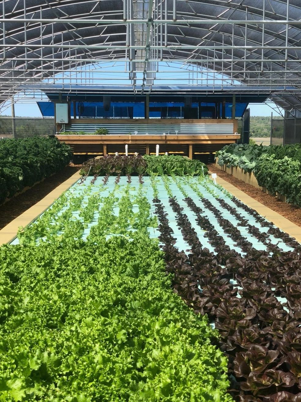 CSA Full Share 12 Week Membership Program