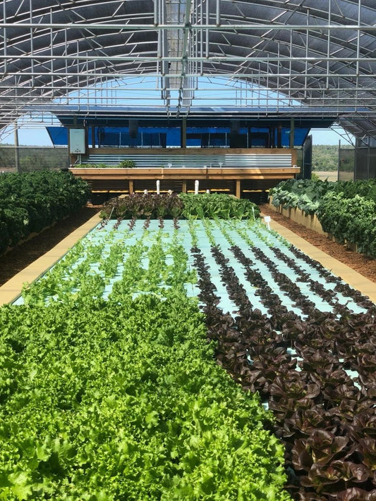CSA Full Share 12 Week Membership Program