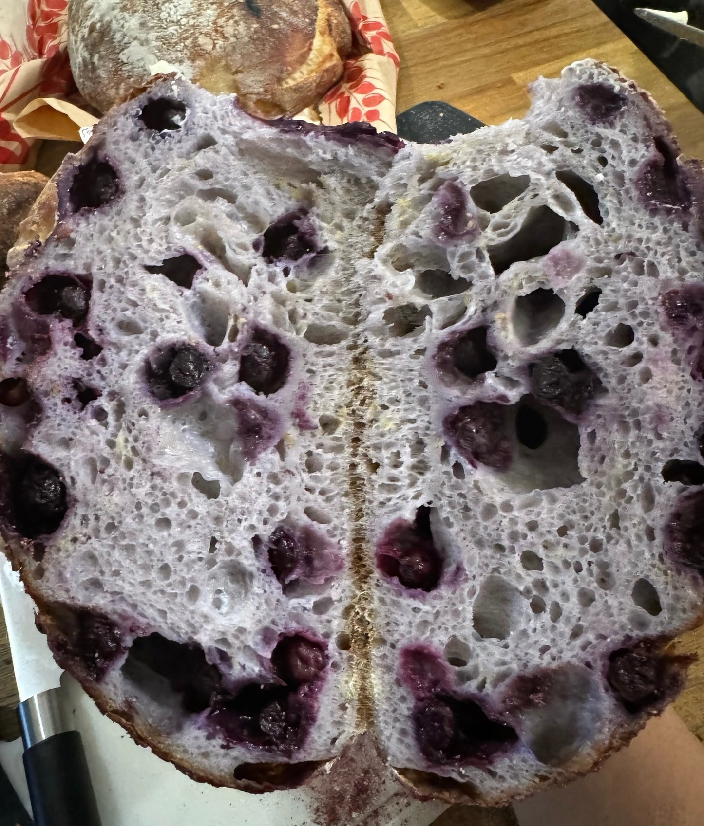 Artisan Organic Blueberry Lemon Zest Sourdough Loaf