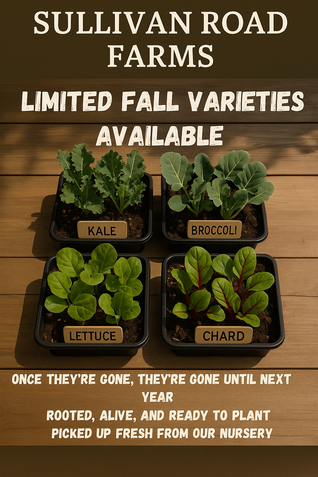 Fall Plant Bundle – 20 Garden-Ready Plants! Ready to pick up 2-3 weeks after order.