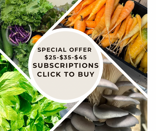 WEEKLY SUBSCRIPTION