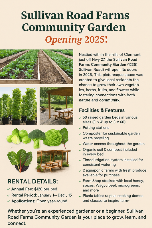 Community Garden plot 3ft x 4ft. 12 months subscription.