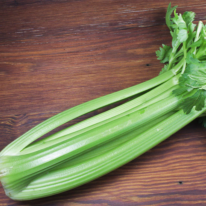 Celery