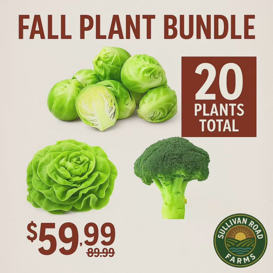 Fall Plant Bundle – 20 Garden-Ready Plants! Ready to pick up 2-3 weeks after order.